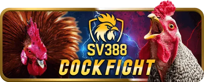 Dịch vụ hỗ trợ khách hàng chuyên nghiệp của 33wim